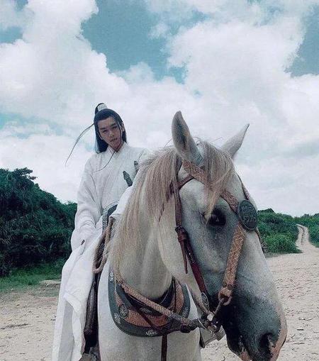 徐凤年弟弟结局(雪中悍刀行徐凤年最后结局)