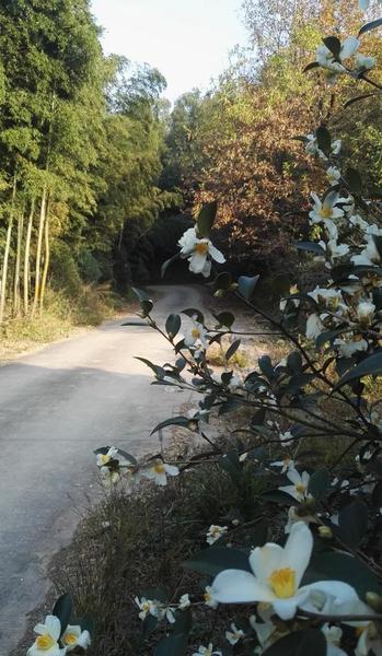 人生四宝是什么