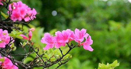 新闻的结尾一般写什么(新闻稿的结束语怎么写)