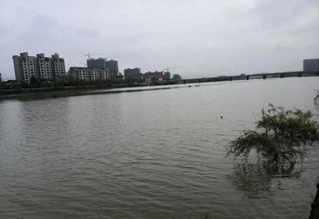 找个二婚女性会有什么结果(找个二婚女性会有什么结果?)