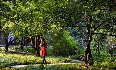 四川眉山的名人(三苏文化与眉山)