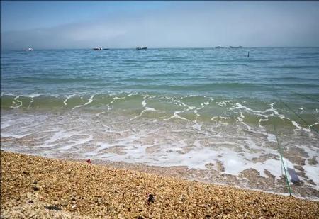 突然好想谈恋爱怎么办