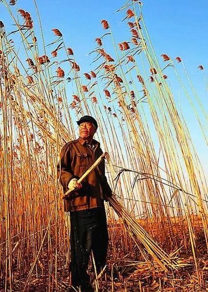 怎么对付恶邻居(如何对付恶邻居)