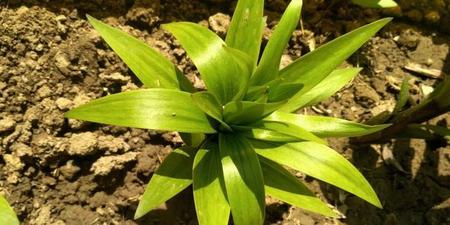 现在是金钱至上的社会吗