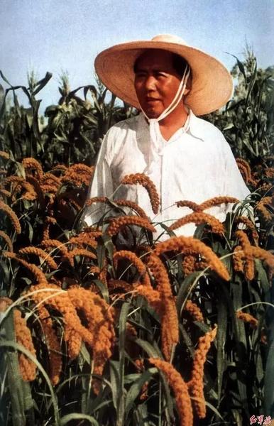 国家为什么要倡导节约粮食(为什么国家突然提倡节约粮食)