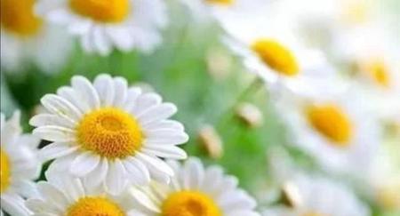 听天由命的人(听天由命的意思解释)