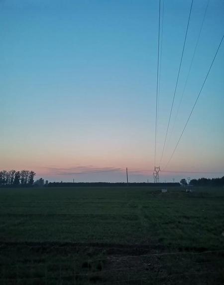 生活中常见的发酵食物有哪些