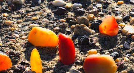 去新疆捡石头应该去哪里(新疆大石头在哪)