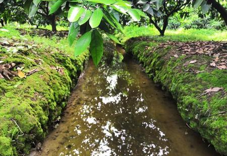 家里三亩地怎么致富