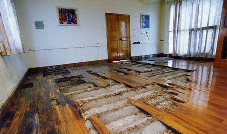 家里有白蚁最简单处理方法