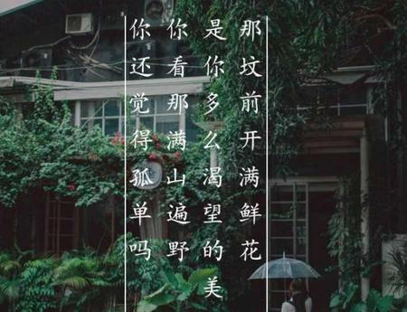 我的一个道姑朋歌词的故事三个版本