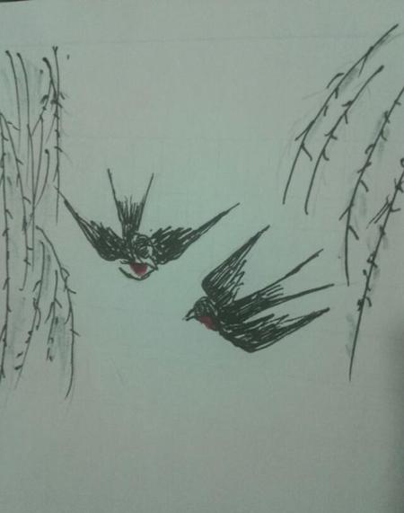 燕子是什么样的鸟(燕子喜欢什么)