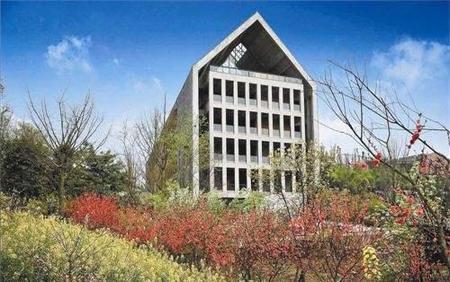 四川美术学院在四川吗(四川美术学院改名重庆美术学院)