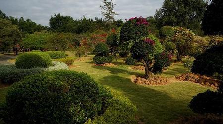 西双版纳居住环境怎么样