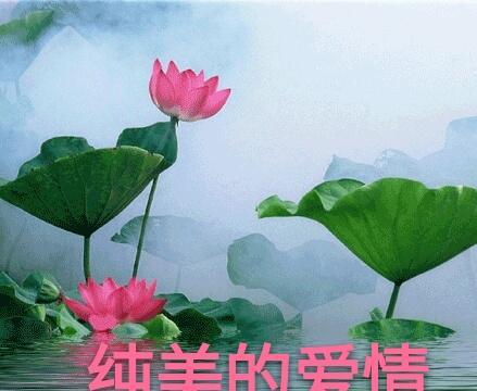 两个相爱的人为什么会分开(相爱的两个人为什么会分手)