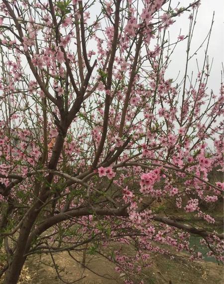 当不被理解时,我选择了沉默(一个人选择沉默的时候说明)