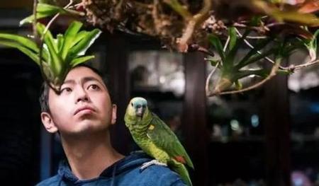 最强大脑下面谁的工作最辛苦(最强大脑2超人和老司机攻略)