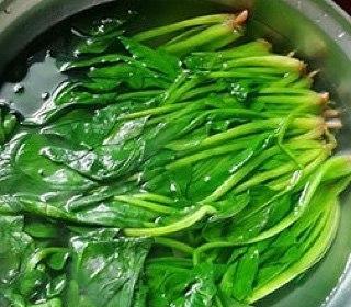 炒菠菜放什么好吃(鸡蛋菠菜怎么炒)