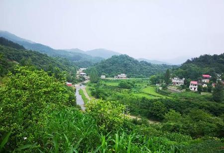 人无完人这句话是谁说的(一千个人心中哈姆雷特)