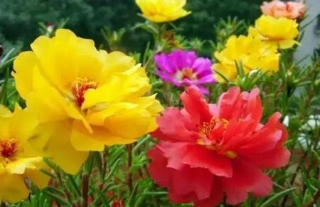 夫妻之间查看手机隐私犯法么