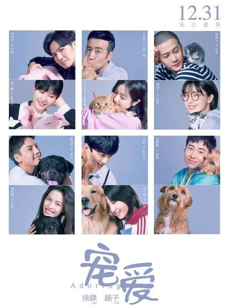 电影《宠爱》影评(电影《宠爱》观后感)