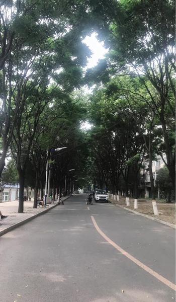 说这个世界现实的句子(负重前行 生活)