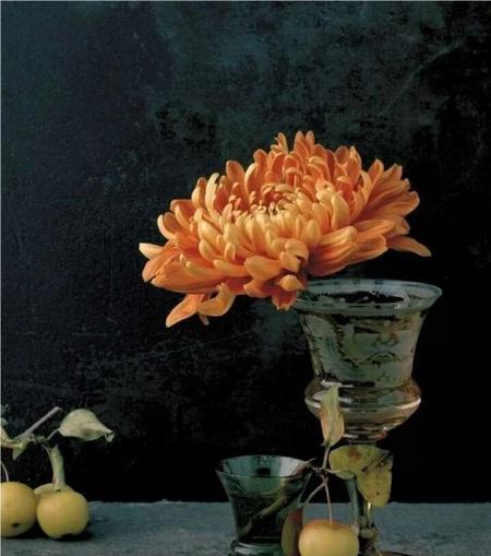 九九重阳今又重阳(九九重阳节的一首诗)