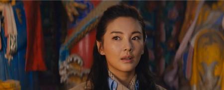 鬼吹灯胡八一和雪莉杨结局