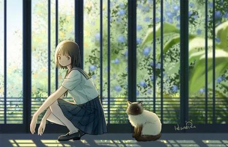 冰菓动漫讲的是什么(灵笼动漫剧情介绍)