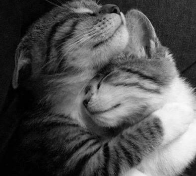 怎样做一个好丈夫需要会哪些(一个合格的老公应该怎么做)