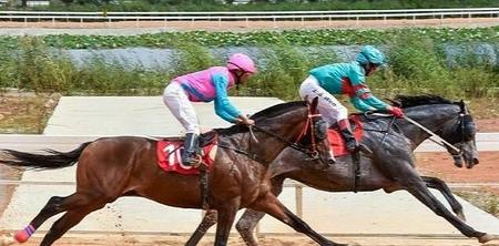 古代的名马(古代名字都有哪些)