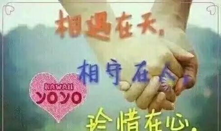 只宠不虐的小说(好看不虐的甜宠小说)