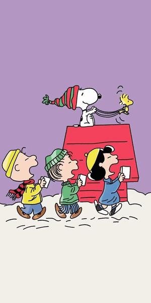 张庭做微商真的很赚钱吗(张庭微商公司年度纳税21亿)