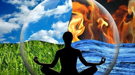 人体器官最坚硬的是什么