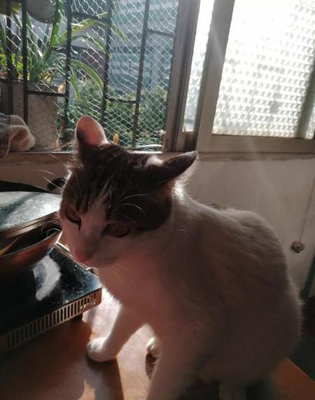 解读幸福的密码(幸福密码观后感)