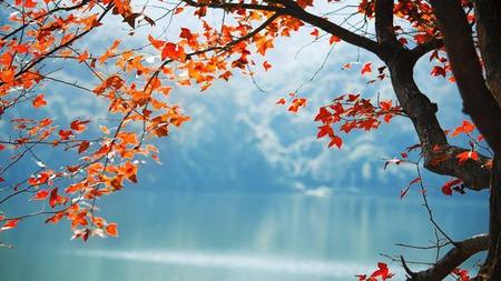 每个人的出生不同命运就不同(人的一生总会遇到贵人和机遇)