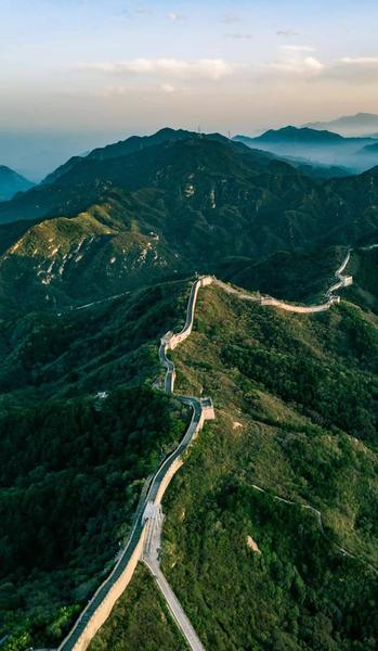 十年老书虫闹书荒了