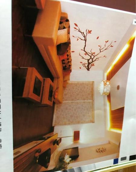 家具适合网购吗(家具应该网购还是去实体店)