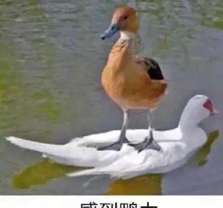 送外卖是什么体验
