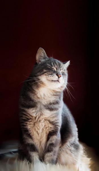 好看的小说文笔好剧情不俗的小说