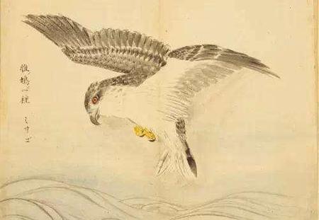 关关雎鸠是什么诗(关关雎鸠在河之洲是什么诗)