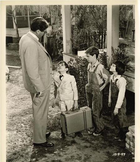 杀死一只知更鸟结尾赏析(《杀死一只知更鸟》读后感)