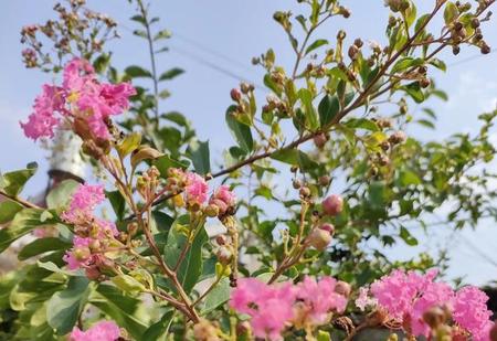 如何看待学历焦虑(你有学历焦虑吗)