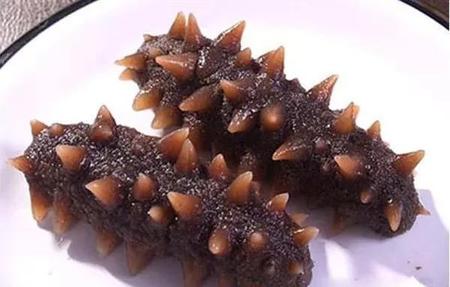 夏天吃海参有什么好处(冬天进补海参好处)