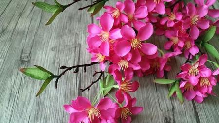 什么苹果树开红花(玫瑰痤疮如何根治)