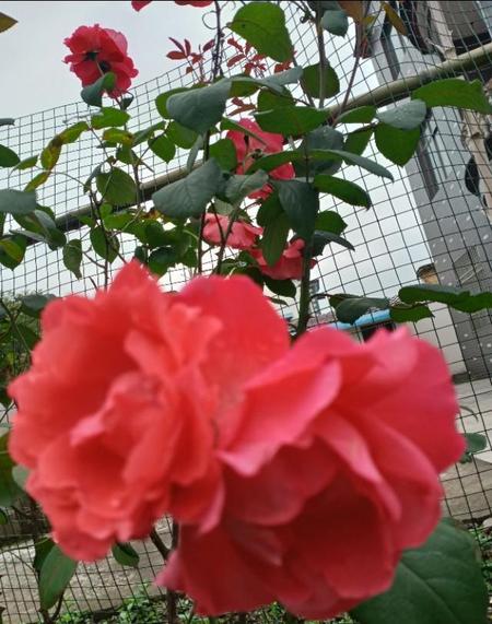 突然不知道活着的意义了(忽然感觉活着没意义了)