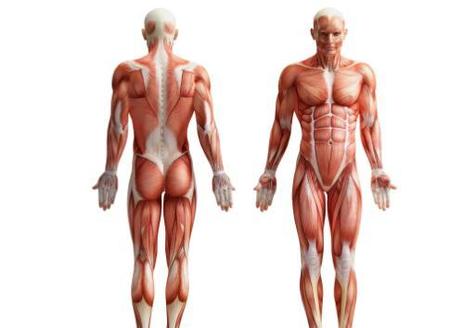 真正打架都是用王八拳吗(为什么打架都是王八拳)