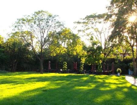 不需要修剪的草坪草类(什么草坪不用修剪)