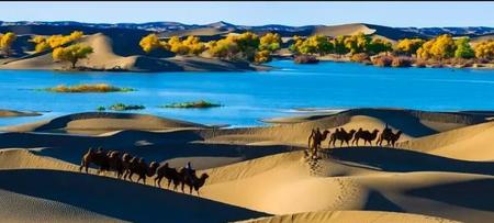 为什么中国人信奉基督教(为什么那么多人信仰基督教)