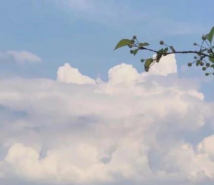 假如晋国不灭亡的话 秦国有没有机会统一天下